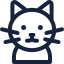 Katt