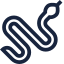 Orm